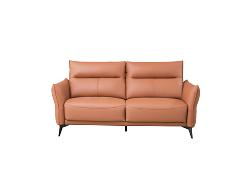 S070雙位沙發(fā)